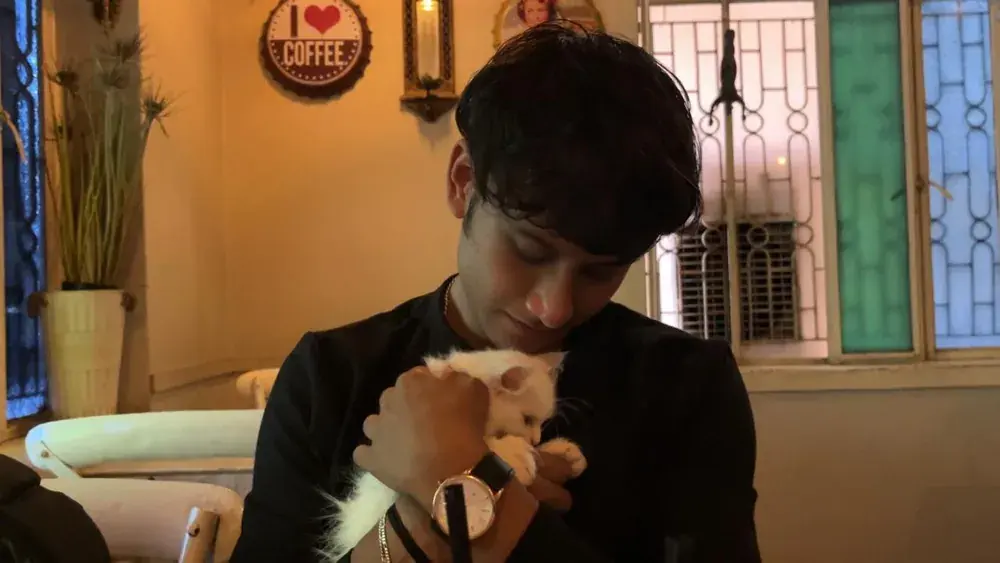 Pure joy • Little white kitten cuddle ♥